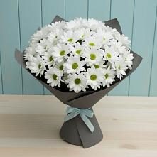 Букет цветов из:  Хризантемы в Мулино