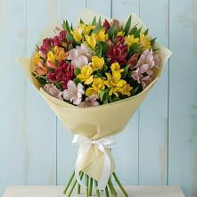Букет цветов из:  Альстромерии в Мулино