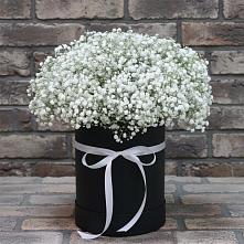 Цветочная композиция из Гипсофила в шляпной коробке в Мулино