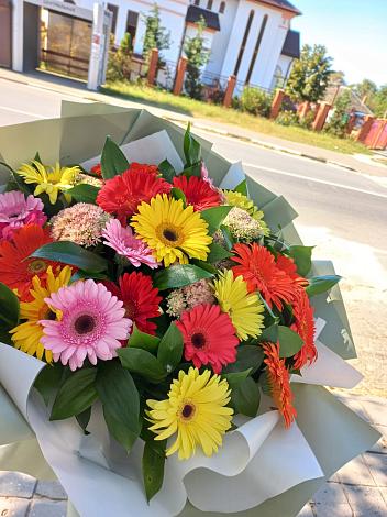 Букет цветов из: Герберы в Мулино