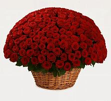 Премиум букет из: Розы в Мулино